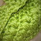 Lime Green Dog Set