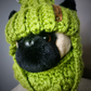Lime Green Dog Set